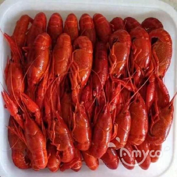 Whole Cooked Crawfish