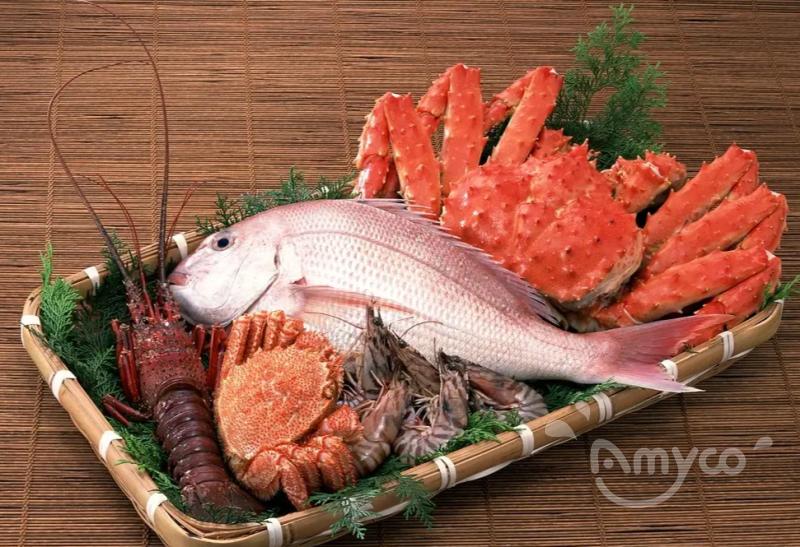 Red Meat vs White Meat (2).jpg