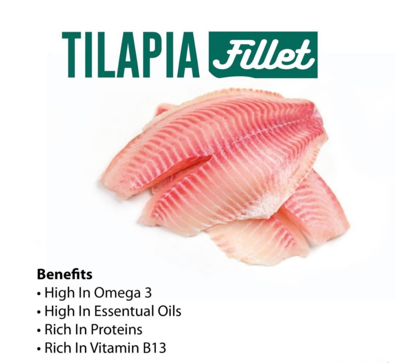 Tilapia (13).jpg