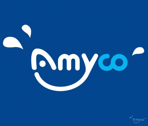 The Story of Amyco Foods since 2006